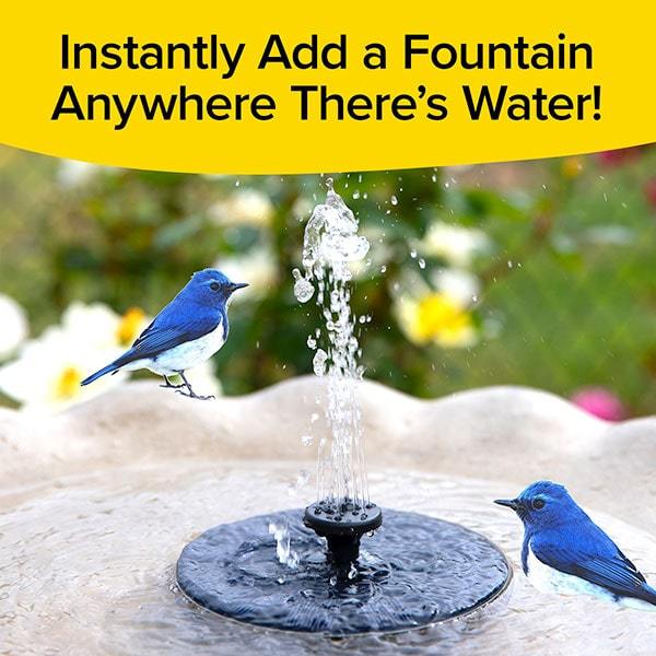 2 blue birds in at a water fountain. Text says 